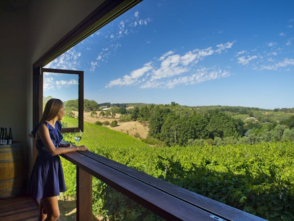 Mt Lofty Ranges Vineyard