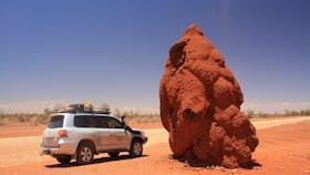 Termite Mound 