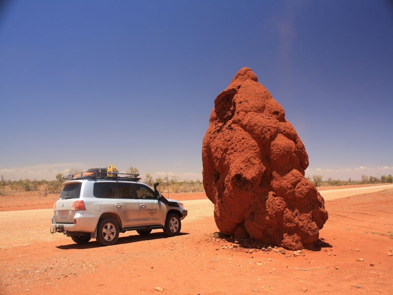 Termite Mound 