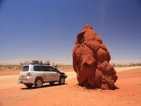 Termite Mound 