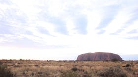 Uluru view