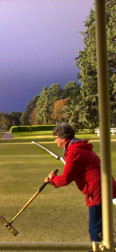 View to the Hyatt Hotel from the Clubhouse lawn 2