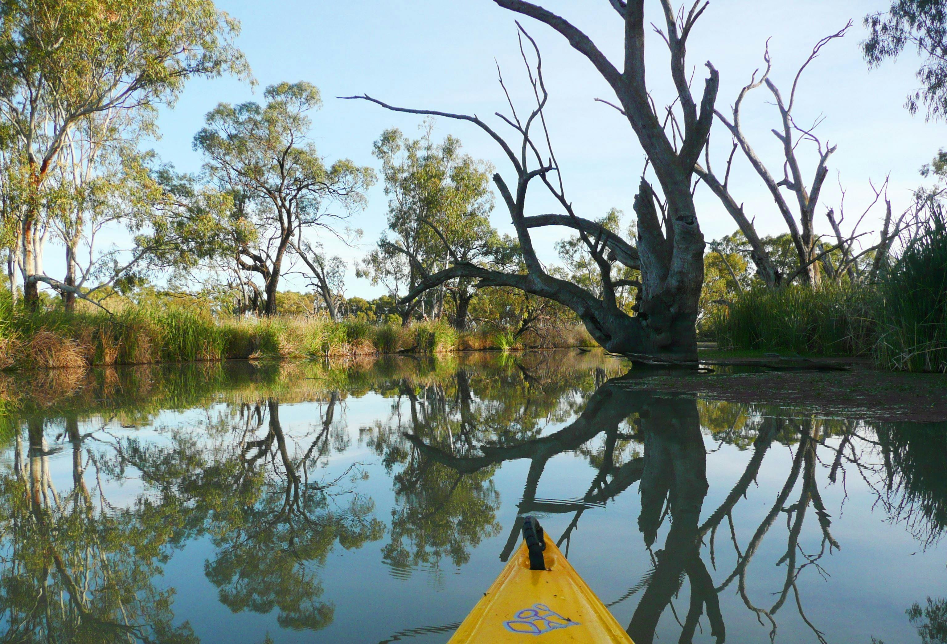 Beautiful reflections