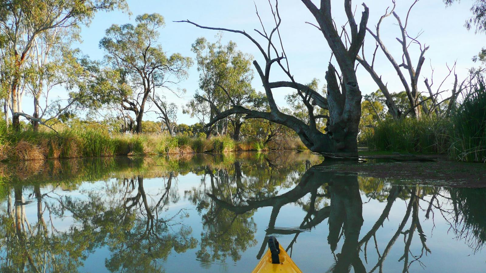 Lovely scene mirrored in the water