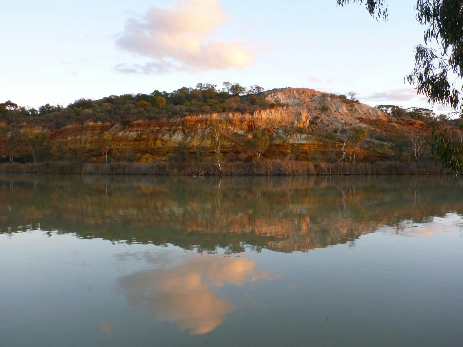 Canoe Adventures - Riverland - Tours