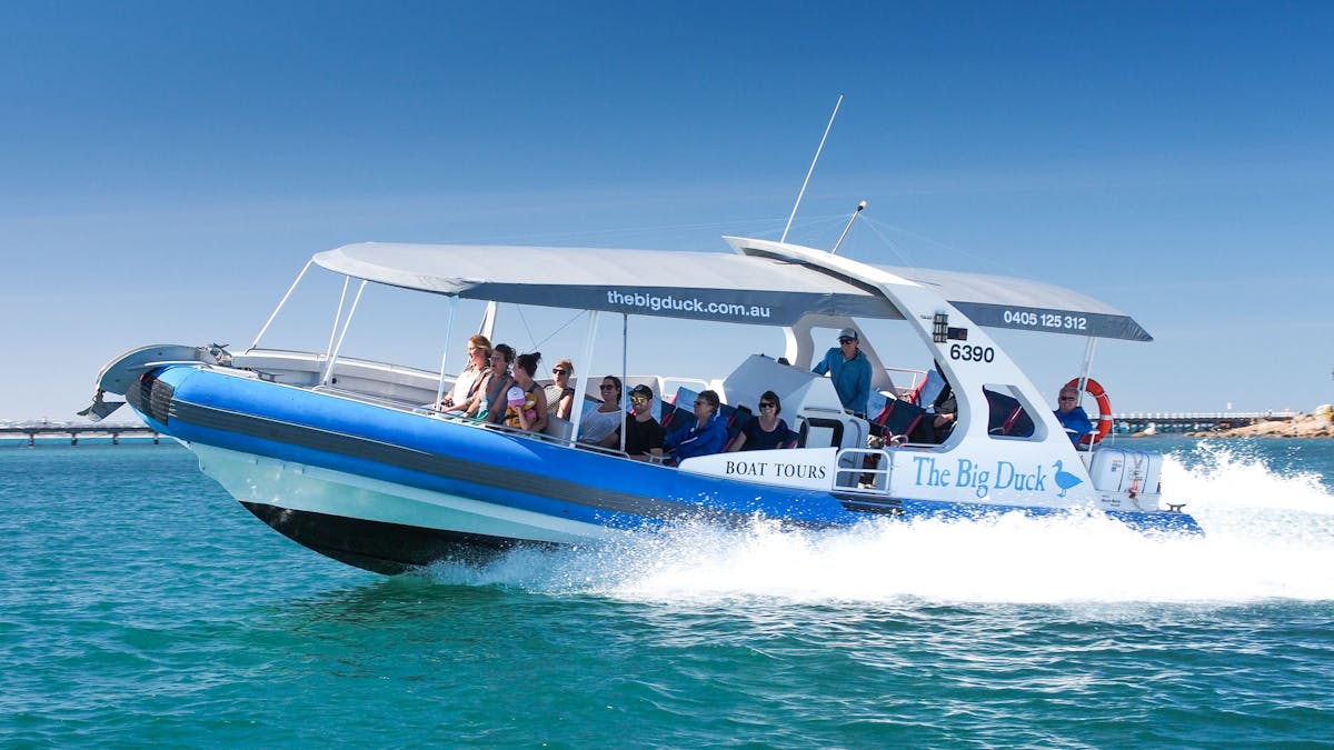 The Big Duck Boat Tours
