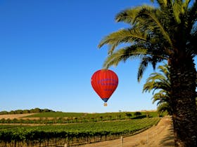 Balloon at Seppeltsfield