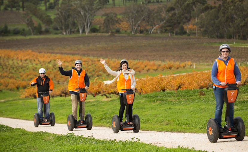 Segway Sensation SA Seppeltsfield tour