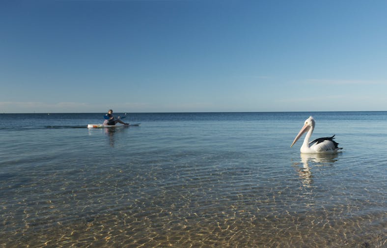 North Beach Wallaroo, South Australia