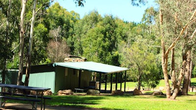 Blue Range Hut set amonst the trees
