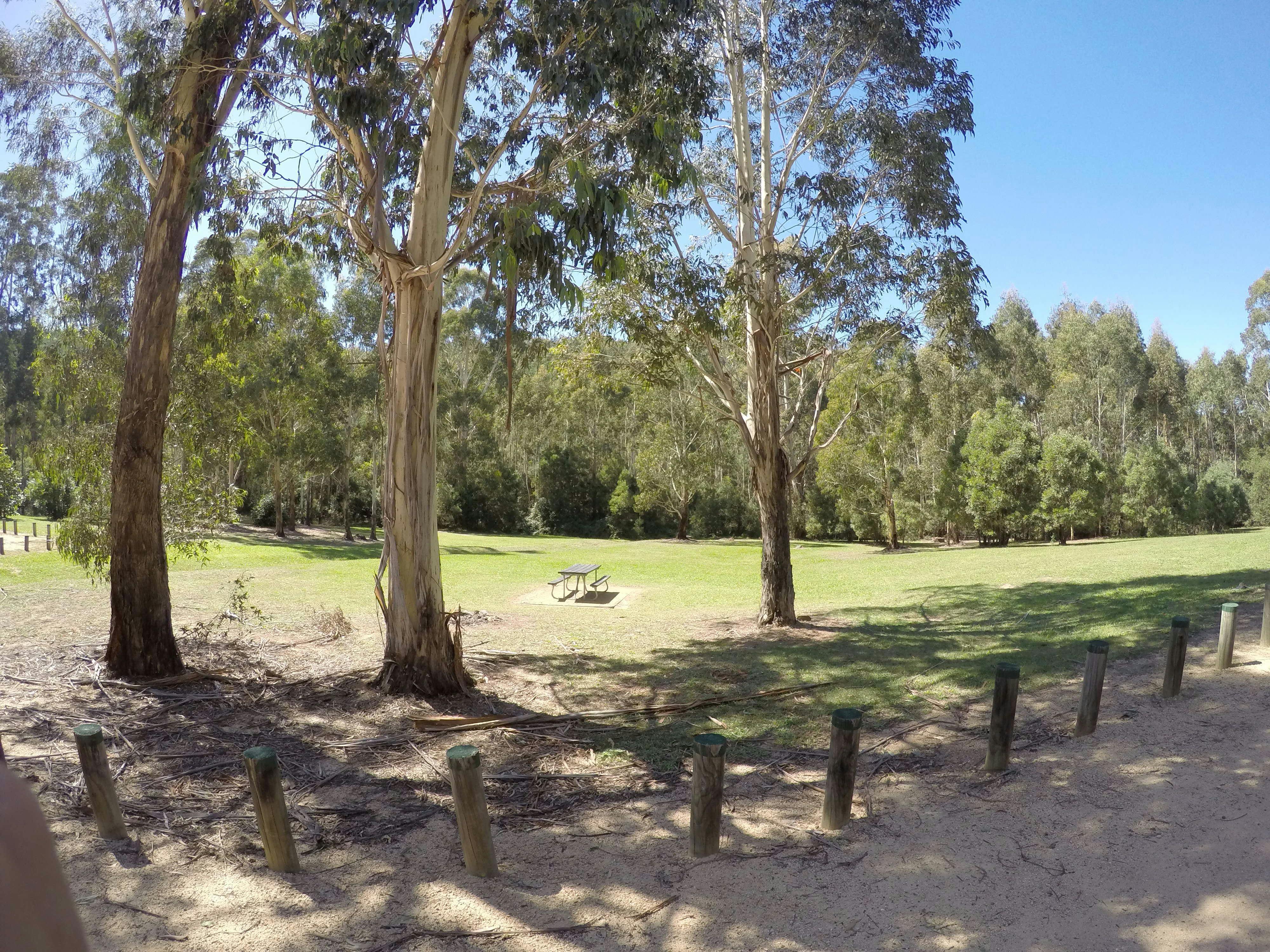 Beautiful clearing with a picnic table