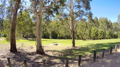 Beautiful clearing with a picnic table
