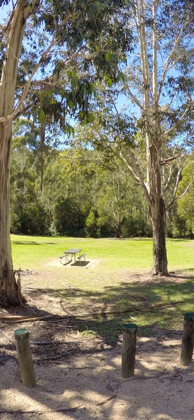 Beautiful clearing with a picnic table