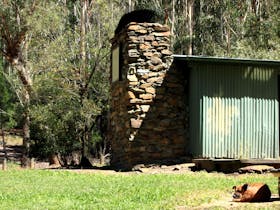 Pet dog resting by the hut