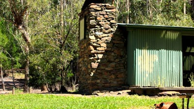 Pet dog resting by the hut