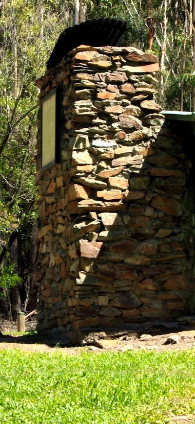 Pet dog resting by the hut