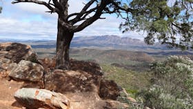 Auswalk Walking Holidays