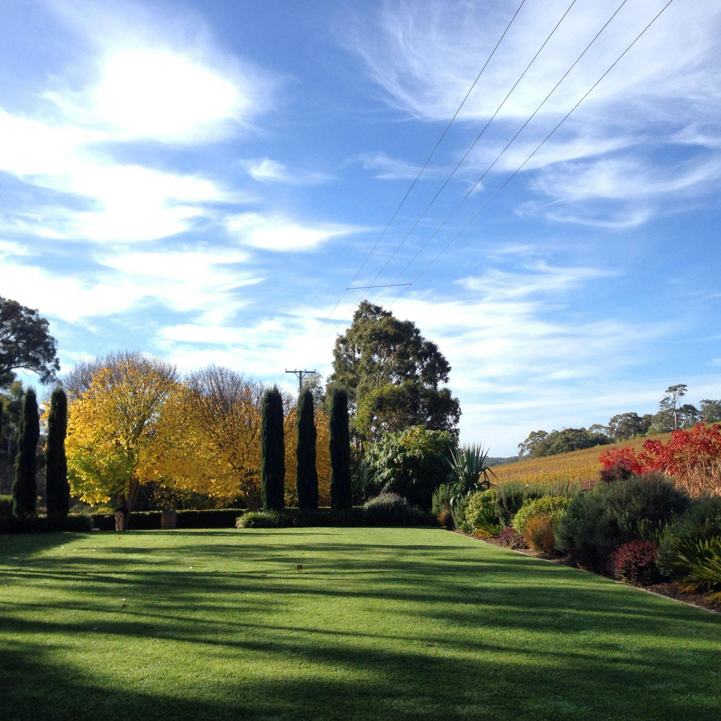 Golding Wines