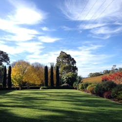 Golding Wines