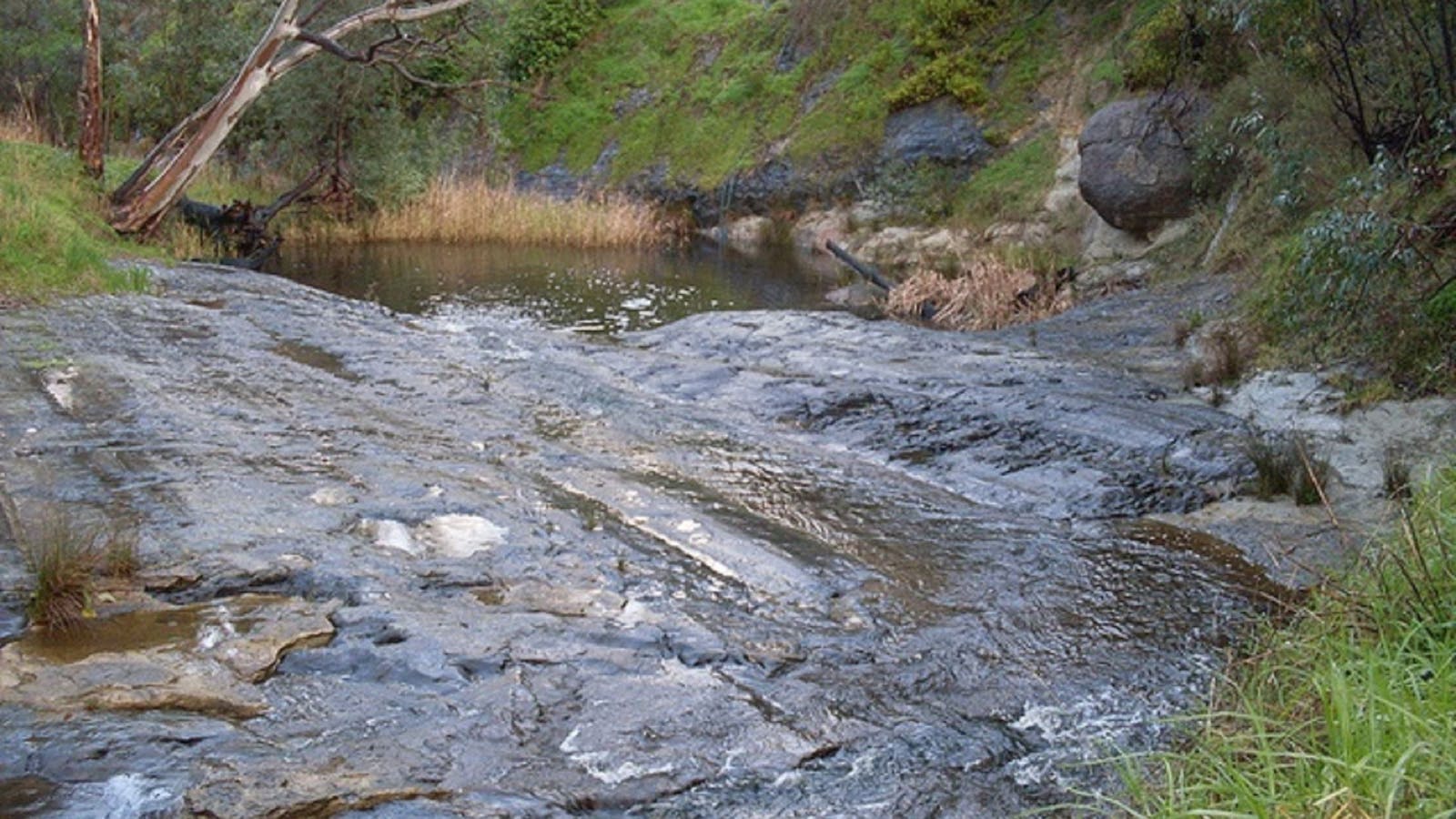 Glacier Rock
