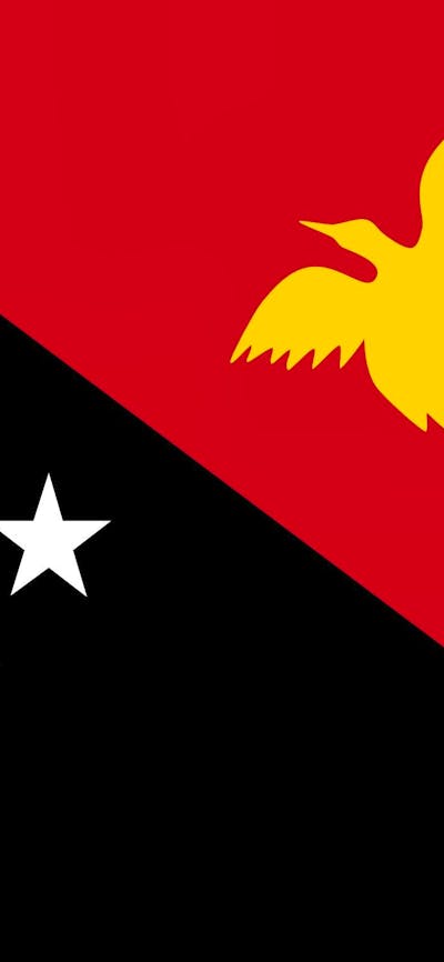 Flag of Papua New Guinea