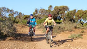 Walk the Yorke Trail