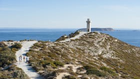 Walk the Yorke Trail