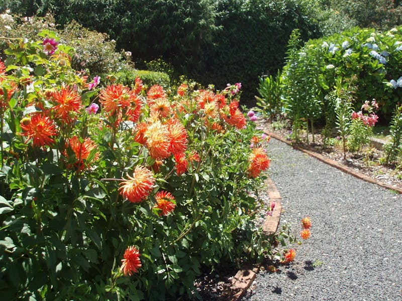Boat Harbour Garden Cottages