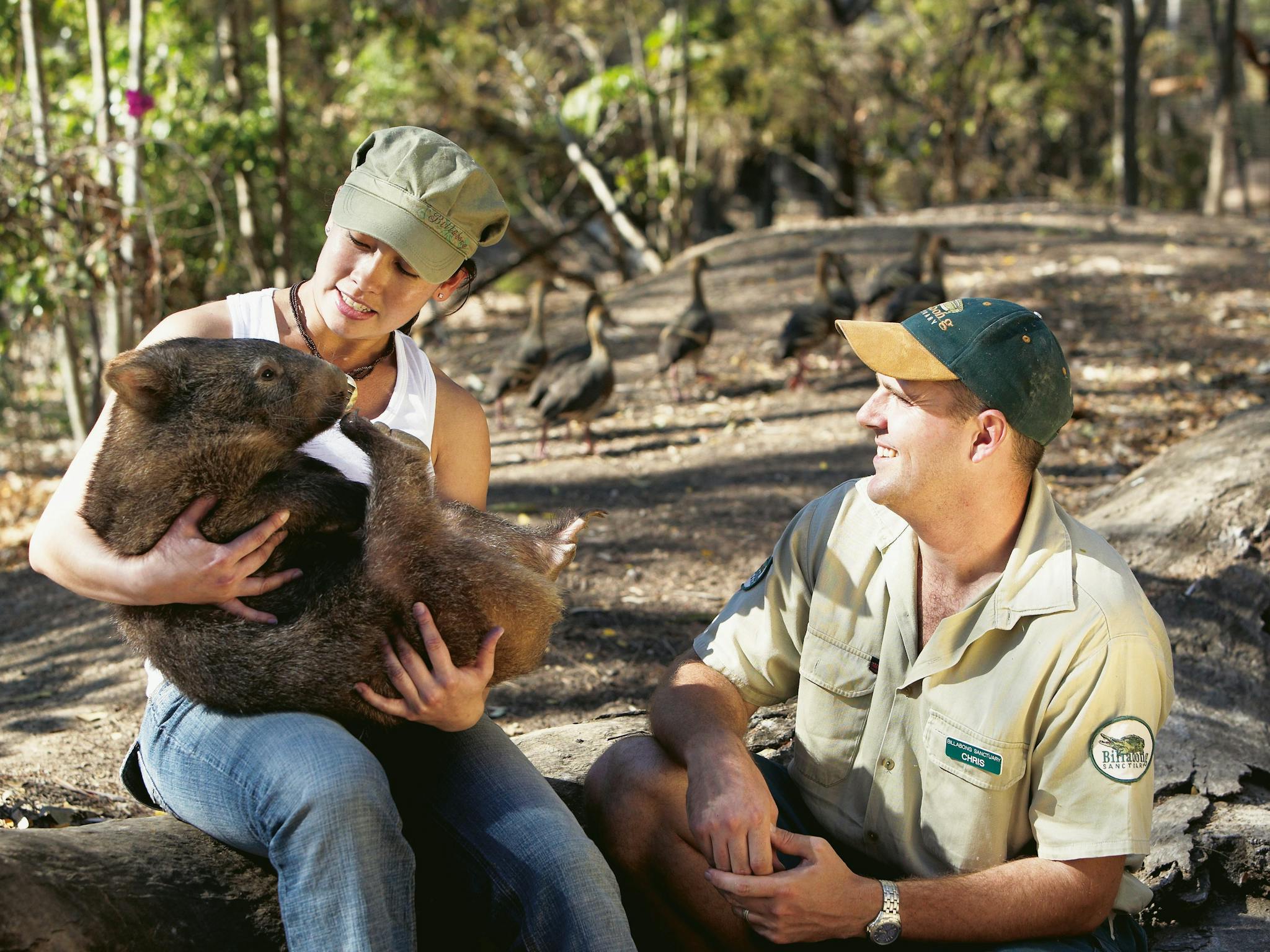 Townsville - Billabong Sanctuary Townsville - Billabong Sanctuary