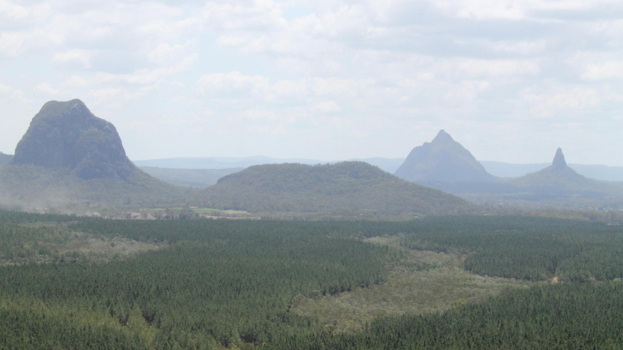 Glasshouse Mountains from Wild Horse Mountain Lookout Tower