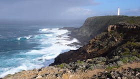 What a coastline, view on the Great South West Walk
