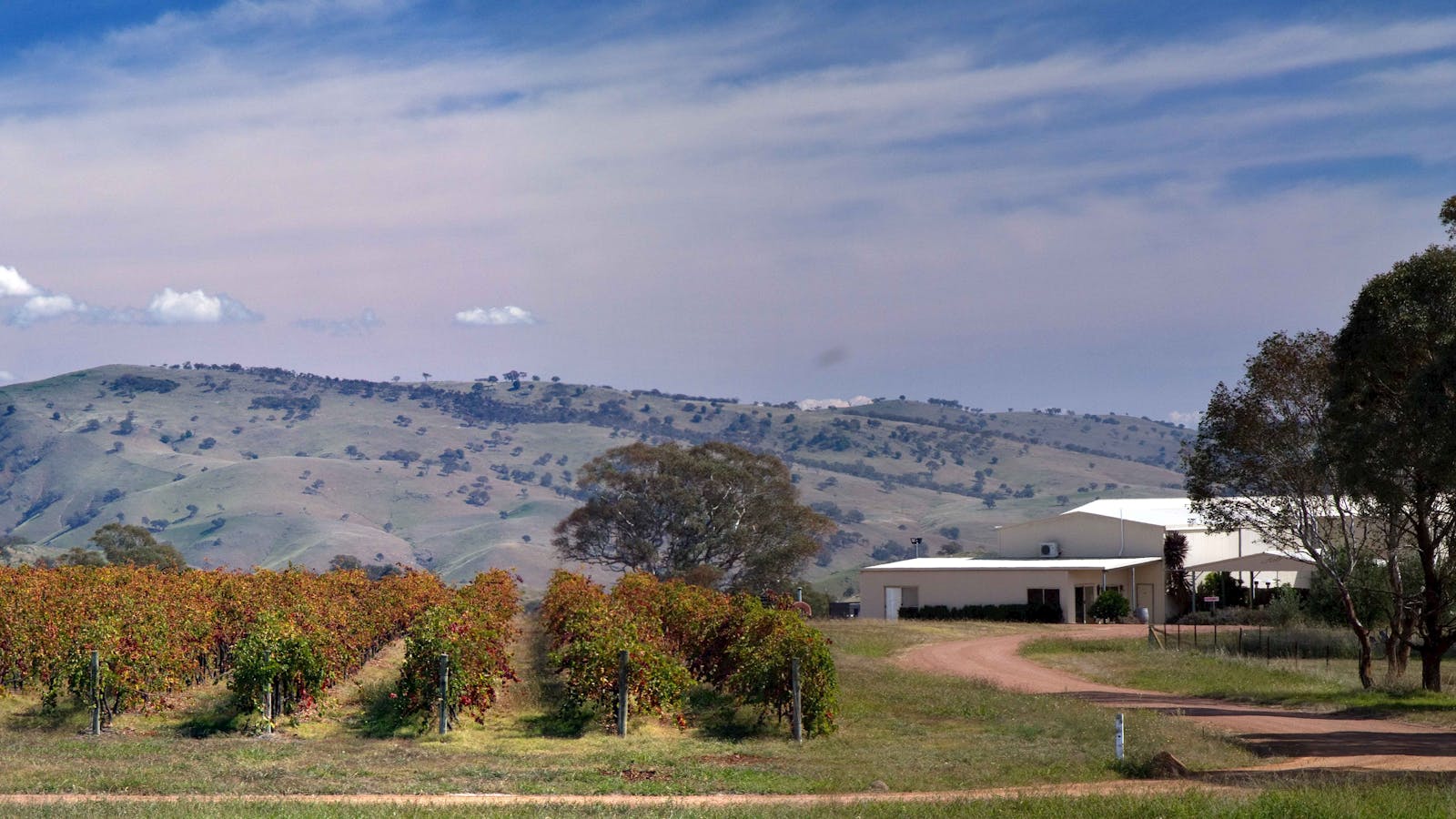 Gallagher Wines