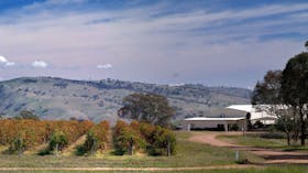 View across Gallagher Wines vines to distant hills