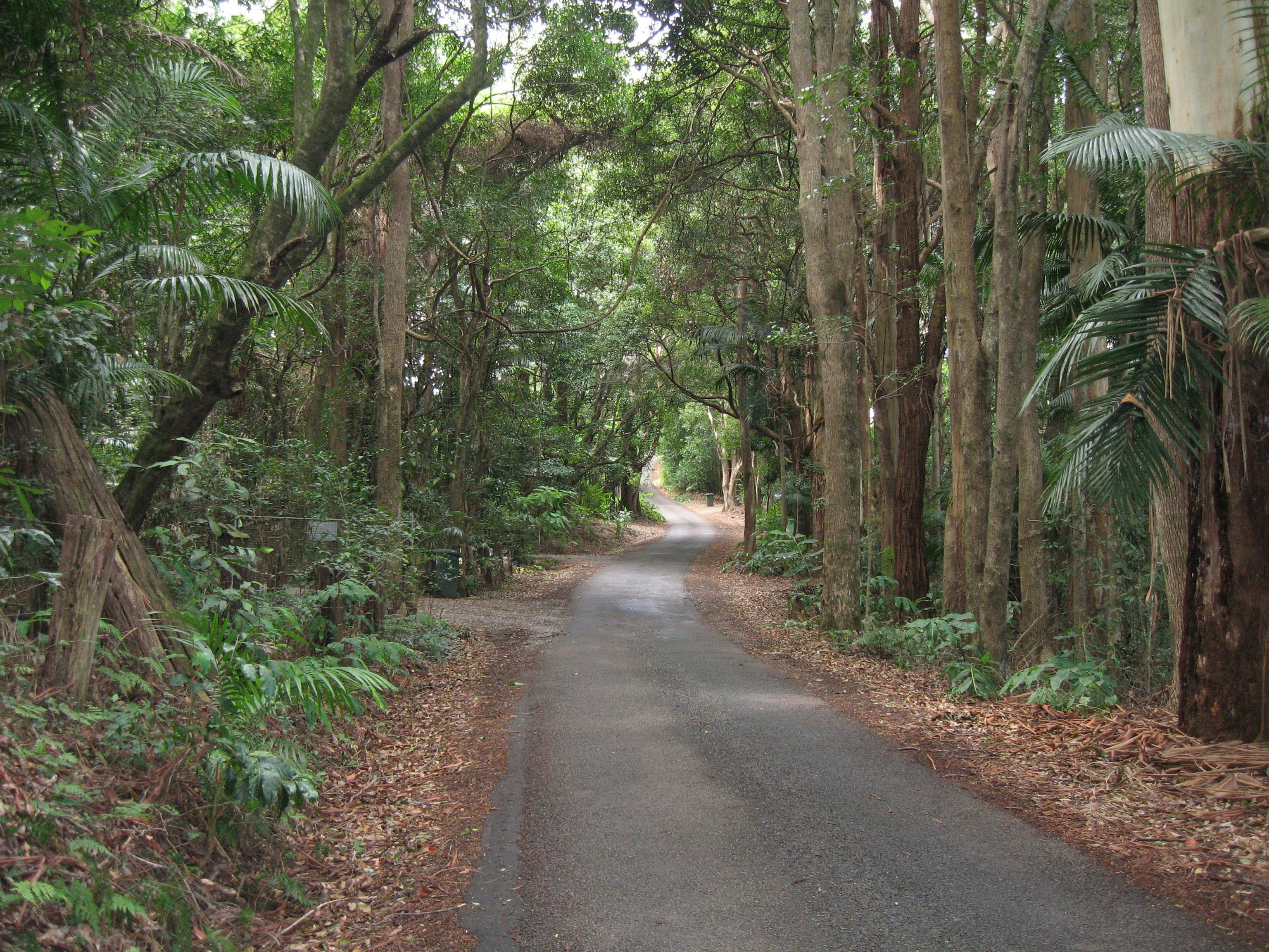 Mount Tamborine -  Wildfire Tours