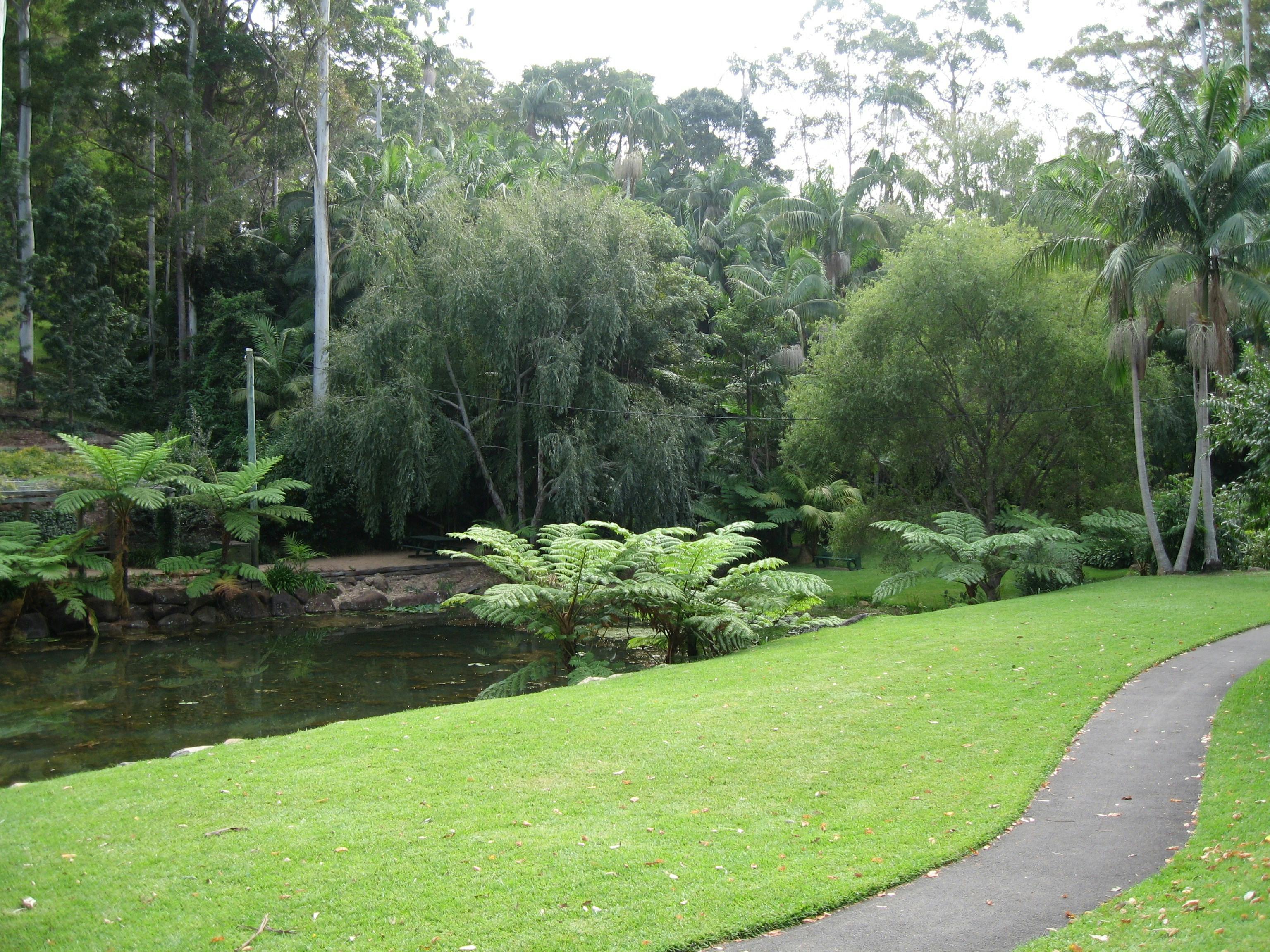 Mt Tamborine