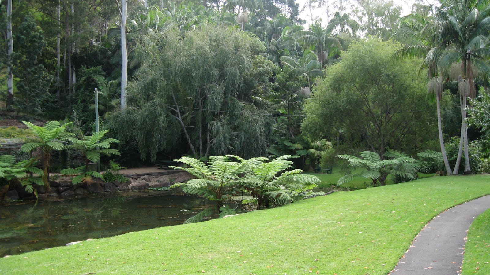 Mt Tamborine