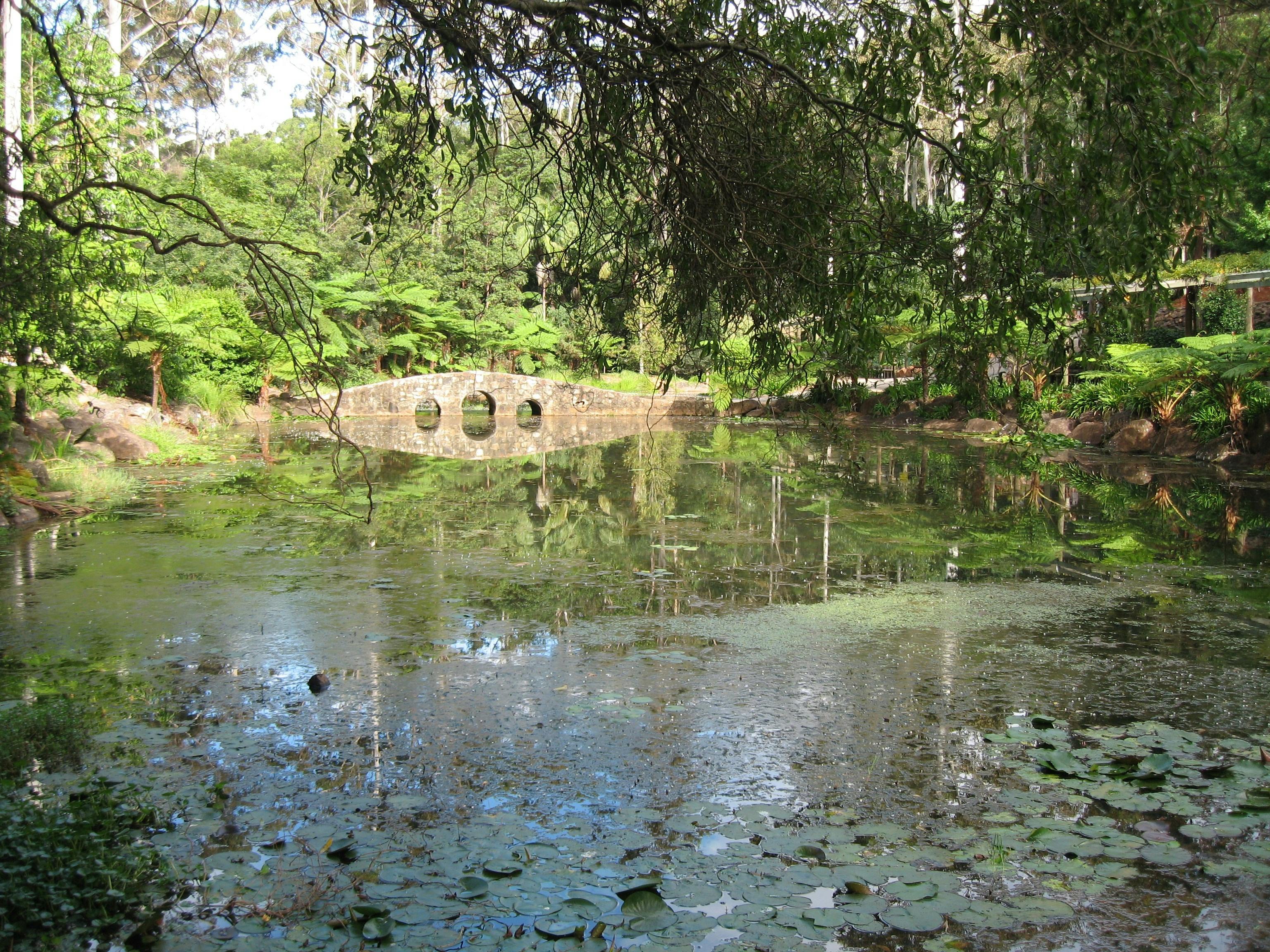 Mt Tamborine Botanic Gardens