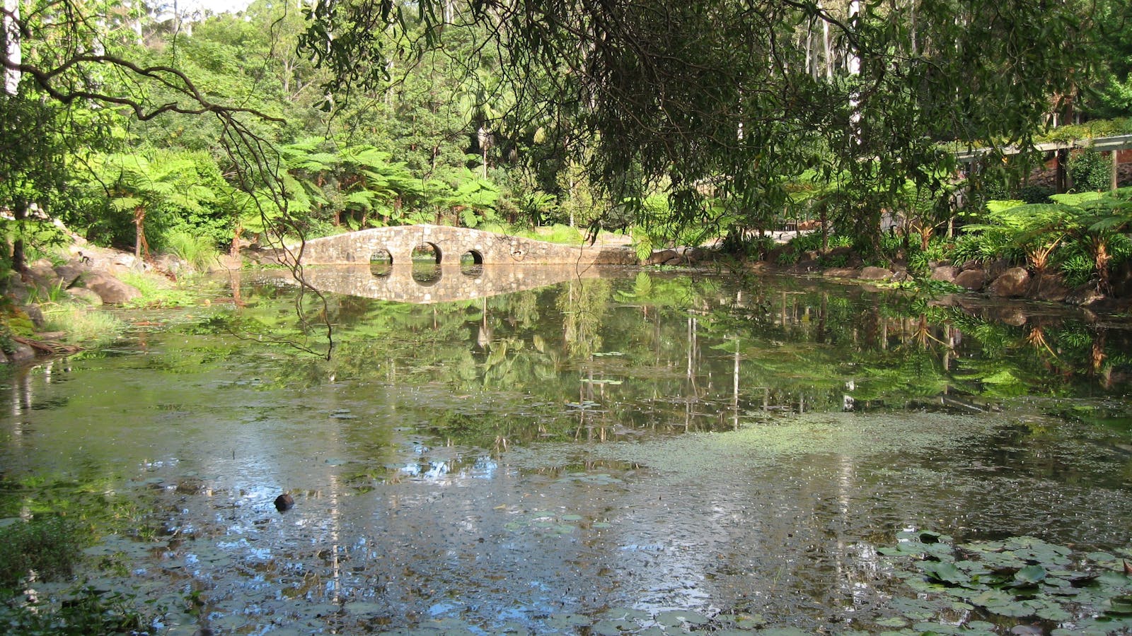 Mt Tamborine Botanic Gardens