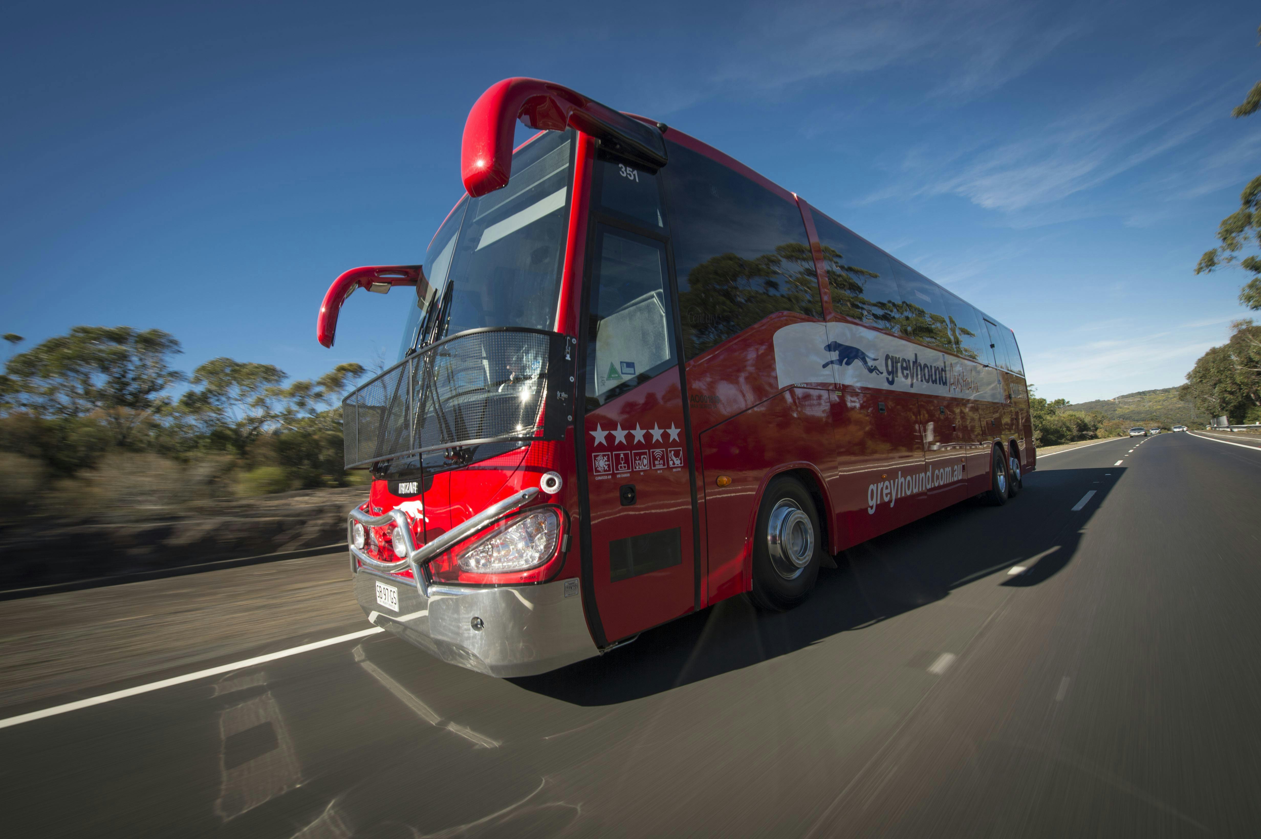 Greyhound Australia - Gympie