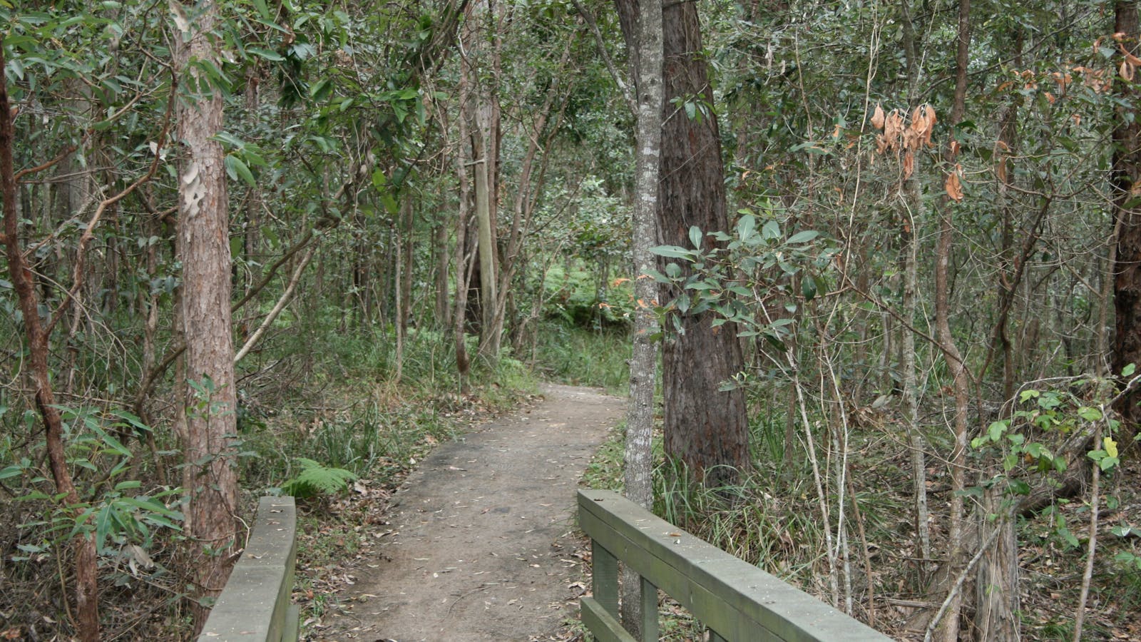 Springwood Conservation Park