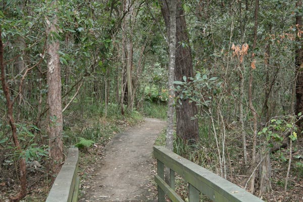 Springwood Conservation Park