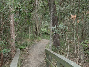 Springwood Conservation Park Springwood Conservation Park