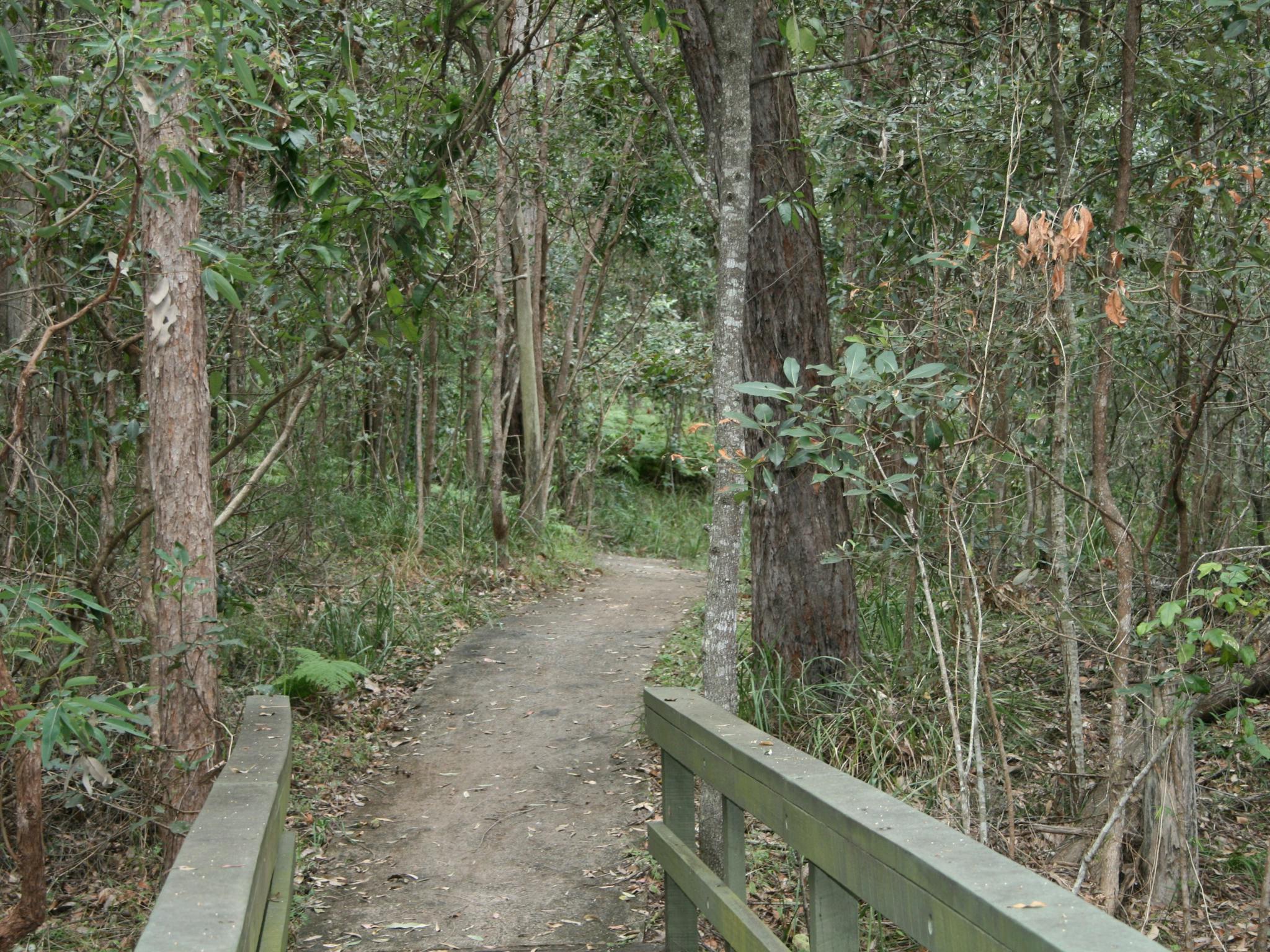 Springwood Conservation Park Springwood Conservation Park