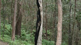 Springwood Conservation Park
