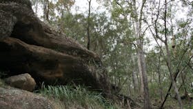 Springwood Conservation Park