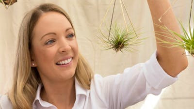 A visitor holding a hanging air plant at the Old Bus Depot Markets
