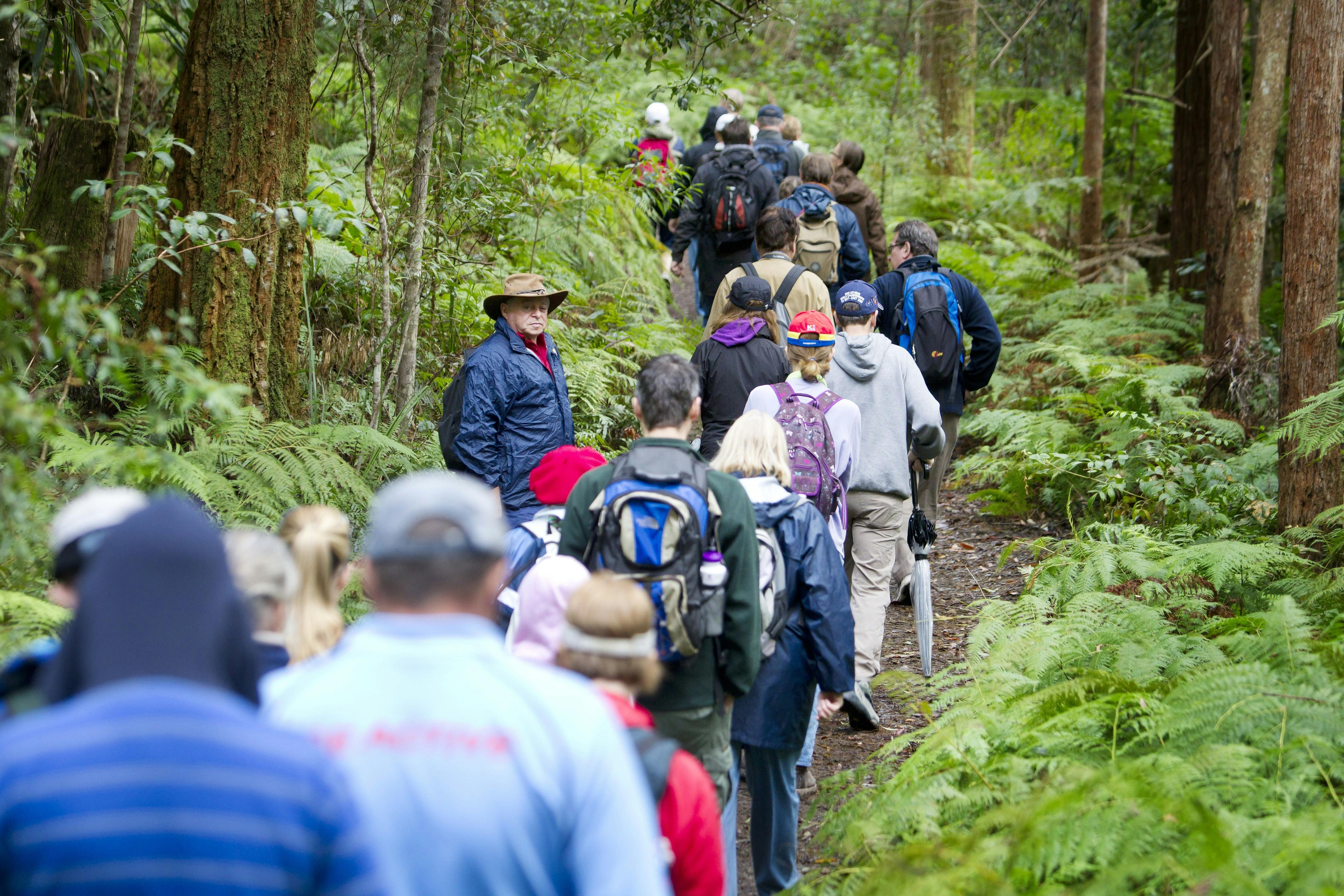 Apple Tree Park Gold Coast