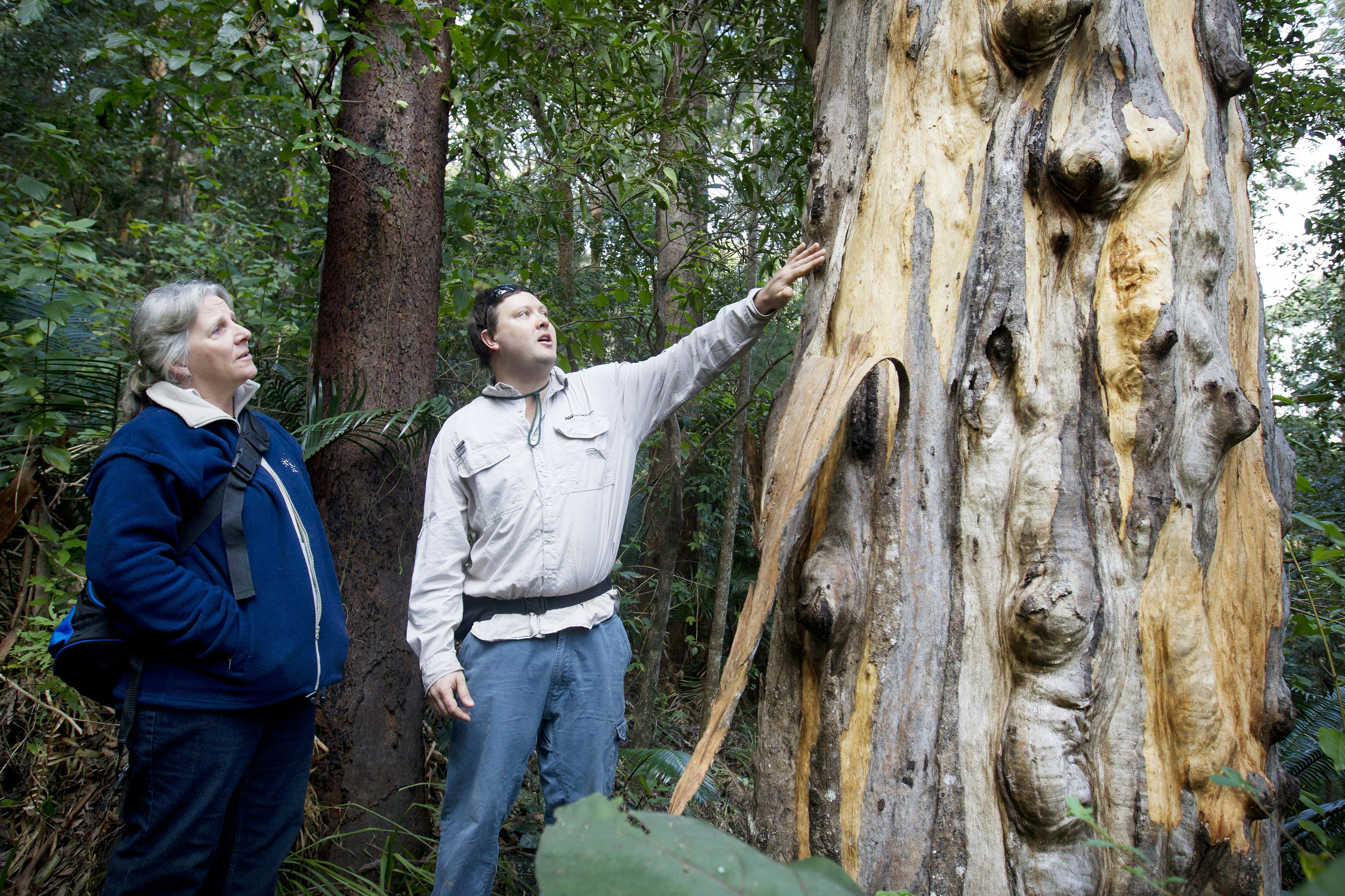 Apple Tree Park Gold Coast
