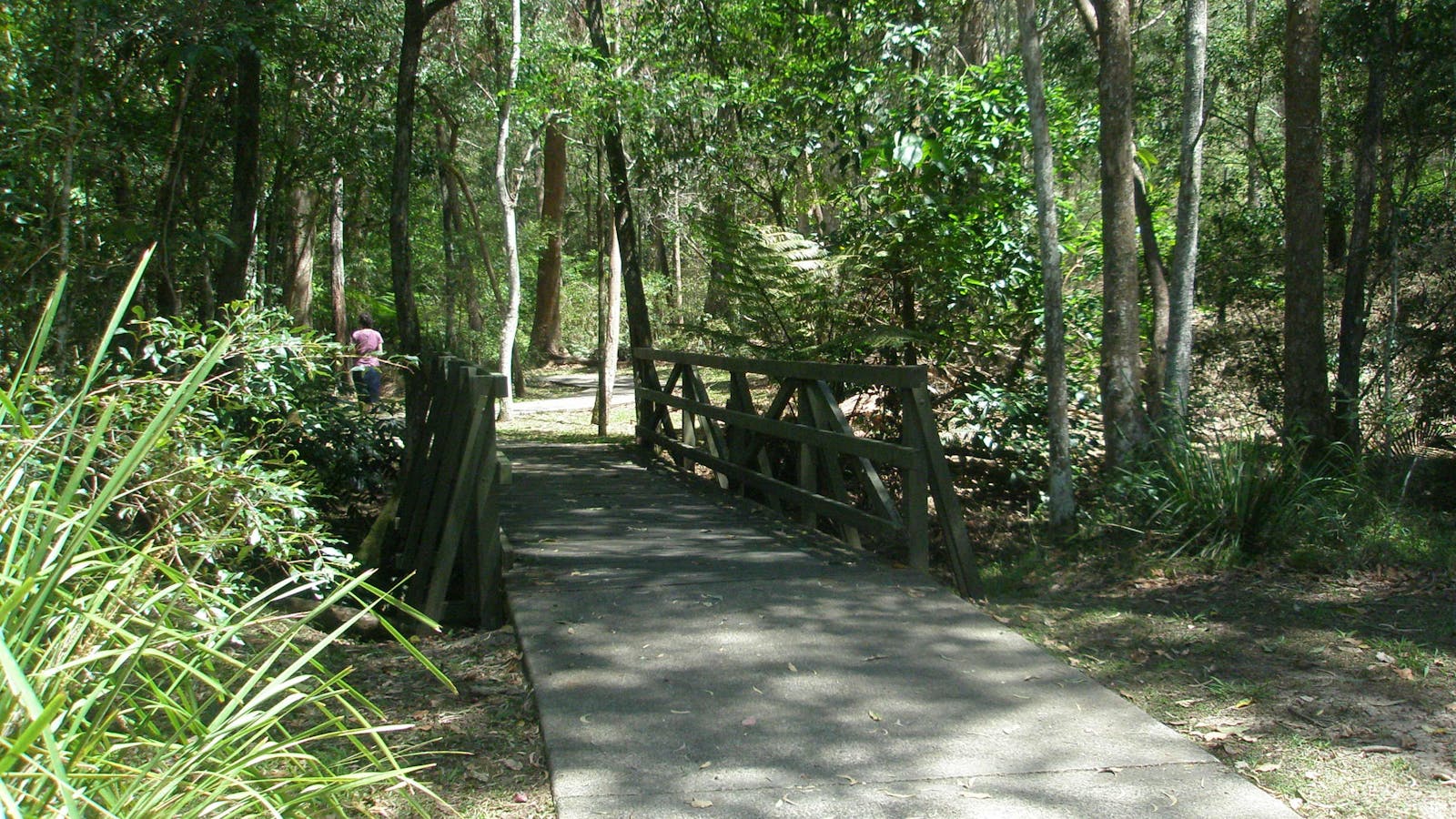 Cornubia Forest Park