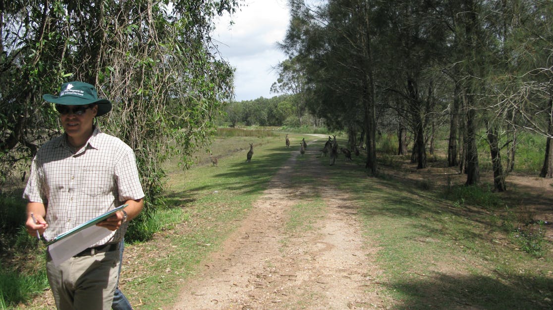 Coombabah Lakelands (Arundel Section) Hour